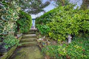 Photo 41- click for photo gallery